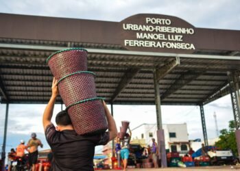 Igarapé-Miri se Consolida como Líder Absoluto na Produção de Açaí no mundo – Prefeitura Municipal de Igarapé-Miri