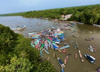 Abertura da Pesca do Mapará 2026 movimenta Igarapé-Miri e reforça compromisso com preservação – Prefeitura Municipal de Igarapé-Miri