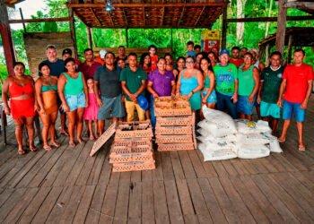 Projeto Quintal Produtivo: 10 mil pintinhos e toneladas de ração para fortalecer comunidades de Igarapé-Miri – Prefeitura Municipal de Igarapé-Miri